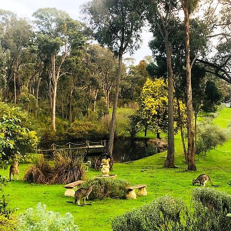 Countryside Retreat Romantic Tranquil Native Wildlife Township Hepburn - Daylesford Hepburn Springs Exterior foto
