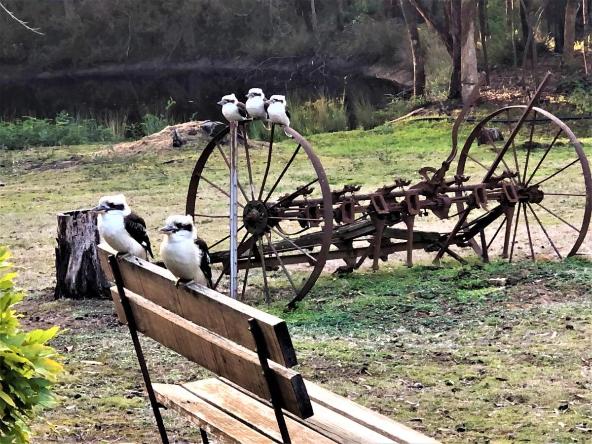 Countryside Retreat Romantic Tranquil Native Wildlife Township Hepburn - Daylesford Hepburn Springs Exterior foto