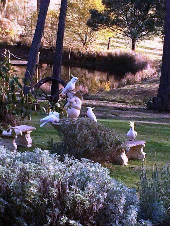 Countryside Retreat Romantic Tranquil Native Wildlife Township Hepburn - Daylesford Hepburn Springs Exterior foto