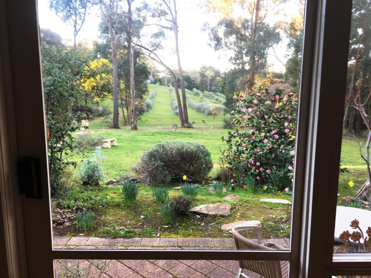 Countryside Retreat Romantic Tranquil Native Wildlife Township Hepburn - Daylesford Hepburn Springs Exterior foto