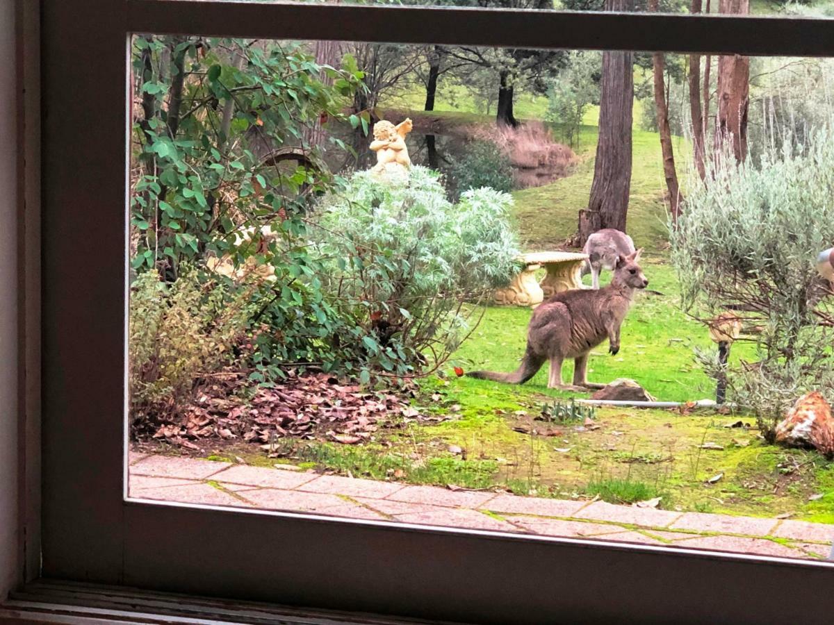 Countryside Retreat Romantic Tranquil Native Wildlife Township Hepburn - Daylesford Hepburn Springs Exterior foto